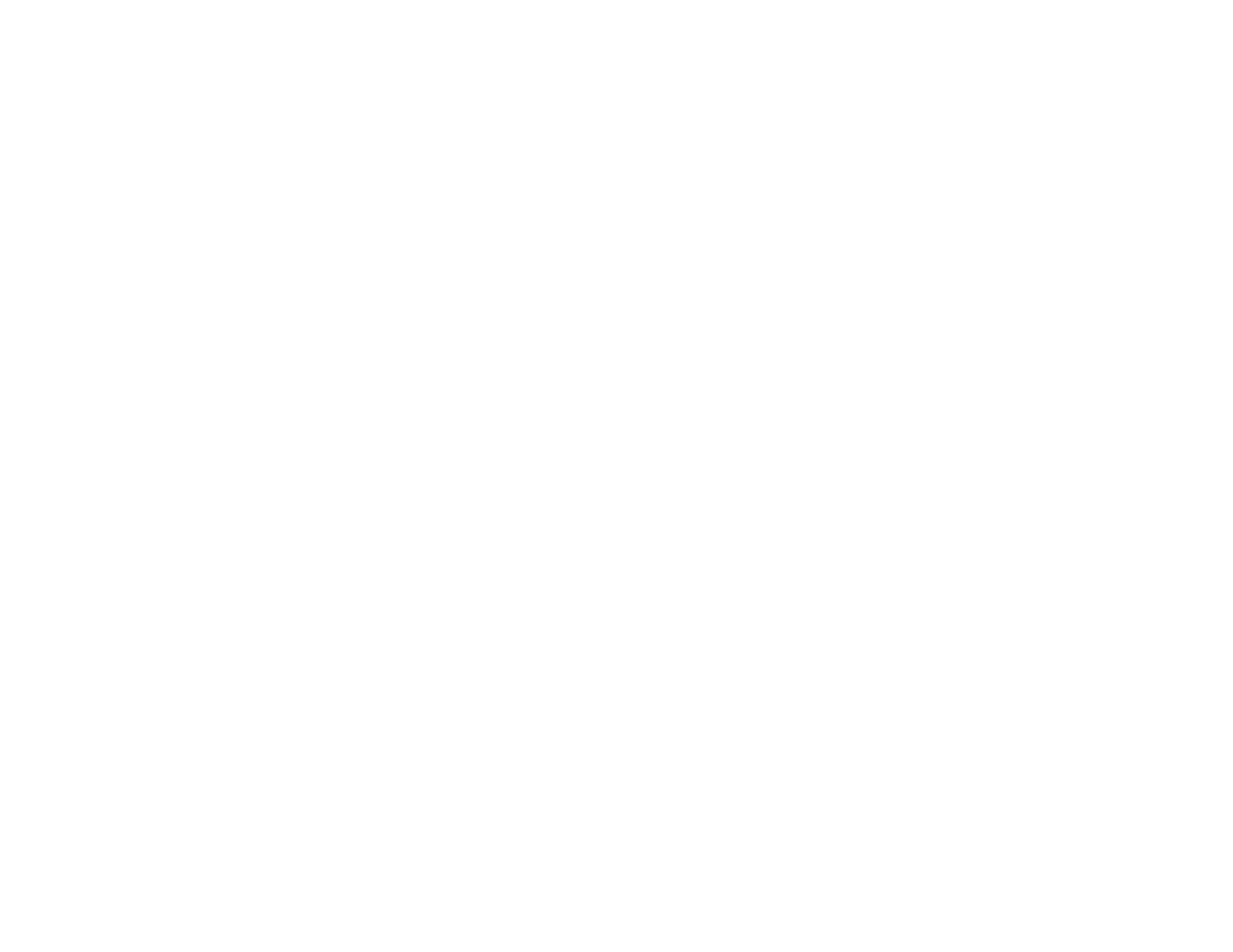 Vale Vision LLC